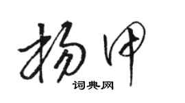 駱恆光楊甲草書個性簽名怎么寫