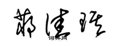 朱錫榮蔣佳琪草書個性簽名怎么寫