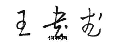 駱恆光王書武草書個性簽名怎么寫