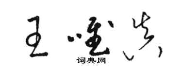 駱恆光王唯真草書個性簽名怎么寫