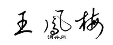 梁錦英王鳳梅草書個性簽名怎么寫