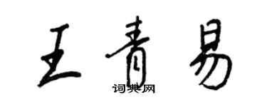 王正良王青易行書個性簽名怎么寫
