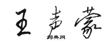 駱恆光王聲蒙行書個性簽名怎么寫