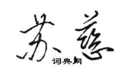 駱恆光蘇慈行書個性簽名怎么寫