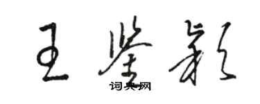 駱恆光王鑑穎草書個性簽名怎么寫