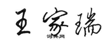 駱恆光王家瑞行書個性簽名怎么寫