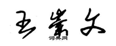 朱錫榮王崇文草書個性簽名怎么寫