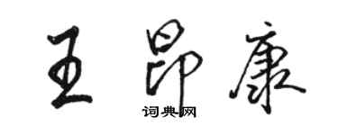 駱恆光王昂康行書個性簽名怎么寫