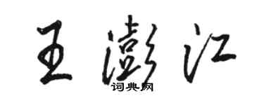 駱恆光王澎江行書個性簽名怎么寫