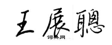 王正良王展聰行書個性簽名怎么寫