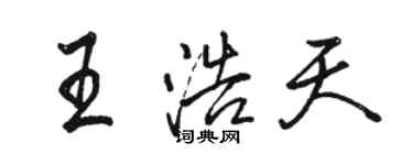 駱恆光王浩天行書個性簽名怎么寫