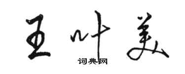 駱恆光王葉美行書個性簽名怎么寫