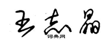 朱錫榮王志晶草書個性簽名怎么寫