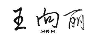 駱恆光王向麗行書個性簽名怎么寫