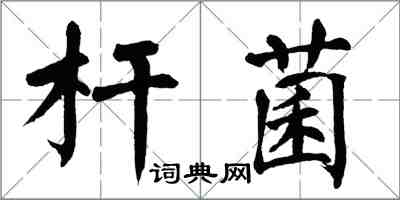 翁闓運桿菌楷書怎么寫