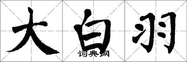 翁闓運大白羽楷書怎么寫