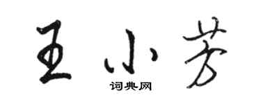 駱恆光王小芳行書個性簽名怎么寫