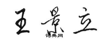 駱恆光王景立行書個性簽名怎么寫