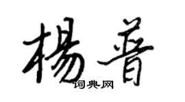 王正良楊普行書個性簽名怎么寫
