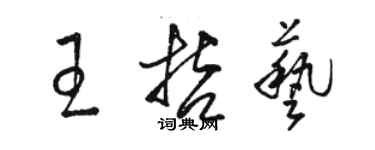 駱恆光王哲藝草書個性簽名怎么寫