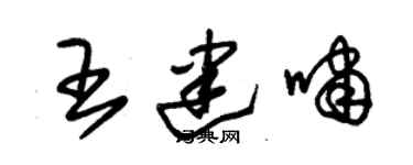 朱錫榮王建嘯草書個性簽名怎么寫