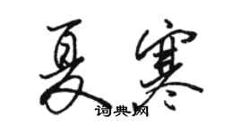 駱恆光夏寒行書個性簽名怎么寫