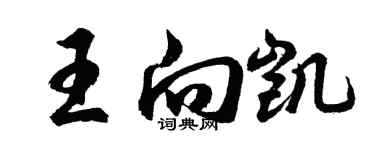 胡問遂王向凱行書個性簽名怎么寫