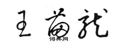 駱恆光王苗龍草書個性簽名怎么寫