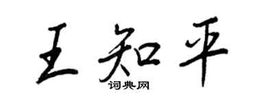 王正良王知平行書個性簽名怎么寫