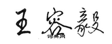 駱恆光王容毅行書個性簽名怎么寫