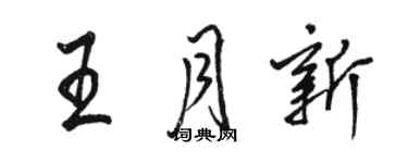 駱恆光王月新行書個性簽名怎么寫