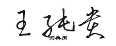 駱恆光王純貴草書個性簽名怎么寫