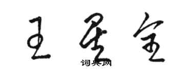 駱恆光王星全草書個性簽名怎么寫