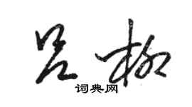 駱恆光呂柳草書個性簽名怎么寫