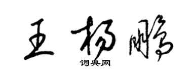 梁錦英王楊鵬草書個性簽名怎么寫