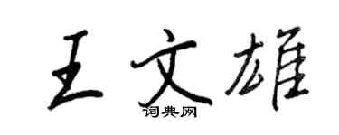王正良王文雄行書個性簽名怎么寫