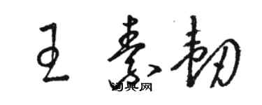 駱恆光王素韌草書個性簽名怎么寫