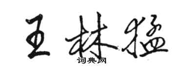 駱恆光王林猛行書個性簽名怎么寫