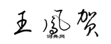 梁錦英王鳳賀草書個性簽名怎么寫
