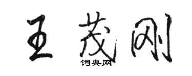 駱恆光王茂剛行書個性簽名怎么寫