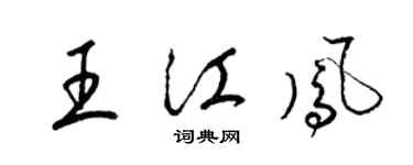 梁錦英王江鳳草書個性簽名怎么寫