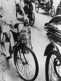 012309.jpg(31285bytes)