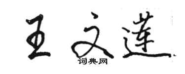 駱恆光王文蓮行書個性簽名怎么寫