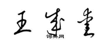 梁錦英王成愛草書個性簽名怎么寫