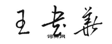 駱恆光王書華草書個性簽名怎么寫