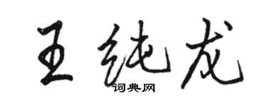 駱恆光王純龍行書個性簽名怎么寫