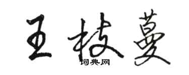 駱恆光王枝蔓行書個性簽名怎么寫