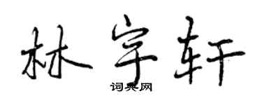 曾慶福林宇軒行書個性簽名怎么寫