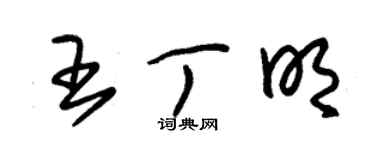 朱錫榮王丁明草書個性簽名怎么寫