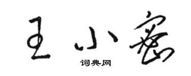 駱恆光王小密草書個性簽名怎么寫